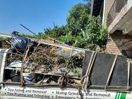 Best Shed Removal  in Brownsville, TN