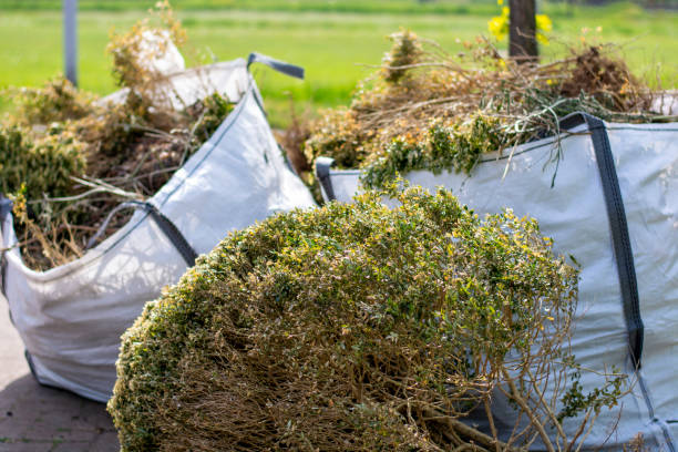 Best Yard Waste Removal  in Brownsville, TN