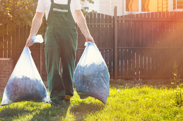 Best Shed Removal  in Brownsville, TN